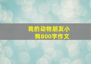 我的动物朋友小狗800字作文