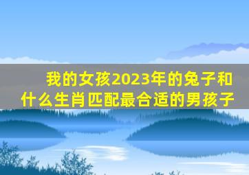 我的女孩2023年的兔子和什么生肖匹配最合适的男孩子