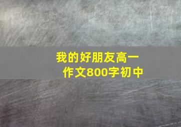 我的好朋友高一作文800字初中