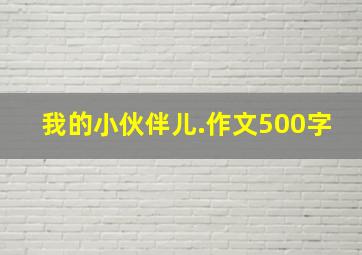 我的小伙伴儿.作文500字