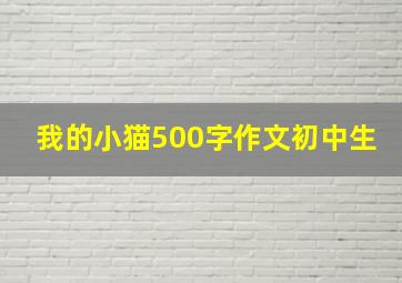 我的小猫500字作文初中生