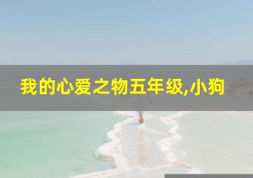 我的心爱之物五年级,小狗