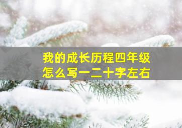 我的成长历程四年级怎么写一二十字左右