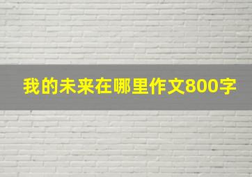 我的未来在哪里作文800字