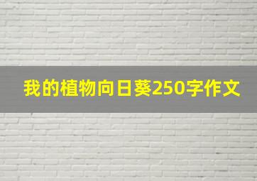 我的植物向日葵250字作文