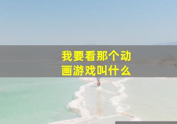 我要看那个动画游戏叫什么