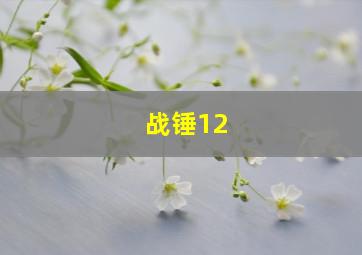 战锤12