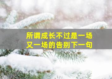 所谓成长不过是一场又一场的告别下一句