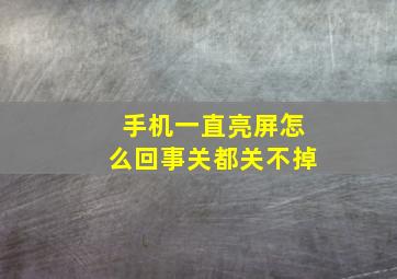 手机一直亮屏怎么回事关都关不掉