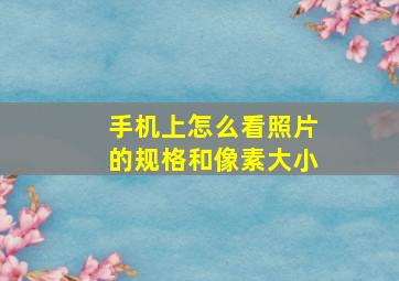 手机上怎么看照片的规格和像素大小