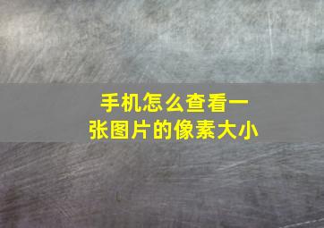 手机怎么查看一张图片的像素大小