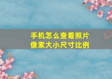 手机怎么查看照片像素大小尺寸比例