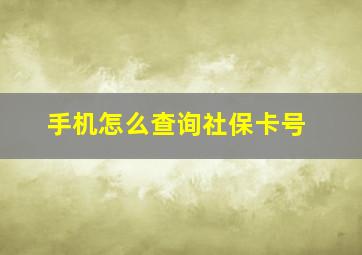 手机怎么查询社保卡号