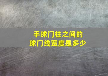 手球门柱之间的球门线宽度是多少