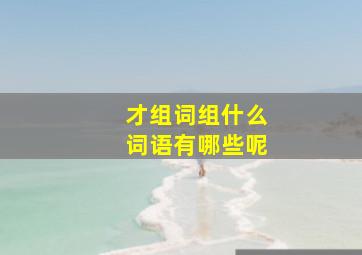 才组词组什么词语有哪些呢