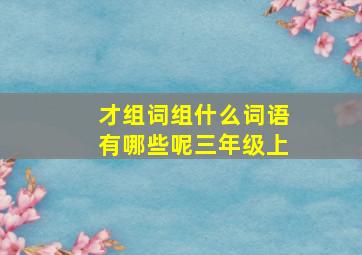 才组词组什么词语有哪些呢三年级上