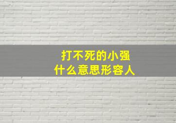 打不死的小强什么意思形容人