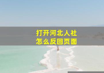 打开河北人社怎么反回页面