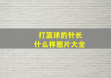 打篮球的针长什么样图片大全