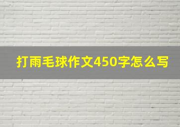 打雨毛球作文450字怎么写