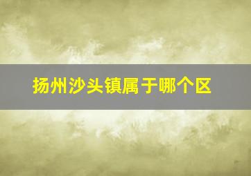 扬州沙头镇属于哪个区