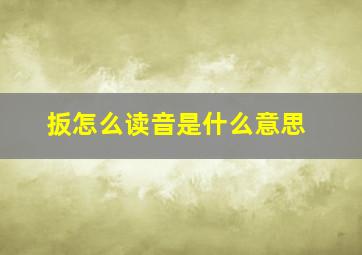 扳怎么读音是什么意思