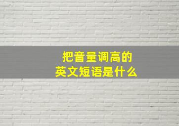 把音量调高的英文短语是什么