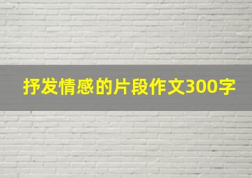 抒发情感的片段作文300字