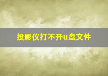 投影仪打不开u盘文件