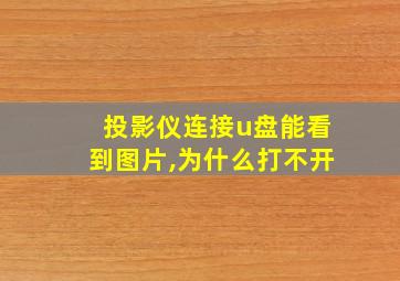 投影仪连接u盘能看到图片,为什么打不开