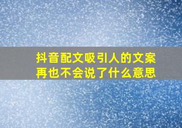 抖音配文吸引人的文案再也不会说了什么意思