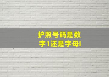 护照号码是数字1还是字母i