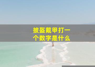 披盔戴甲打一个数字是什么