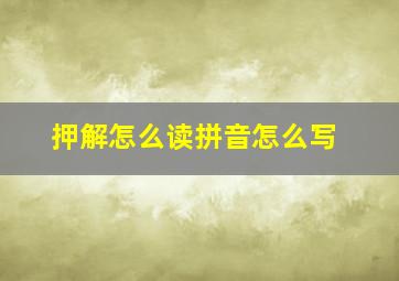 押解怎么读拼音怎么写