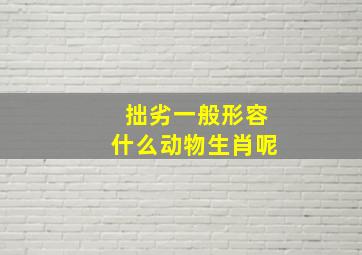 拙劣一般形容什么动物生肖呢