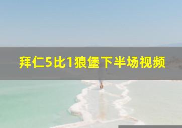 拜仁5比1狼堡下半场视频