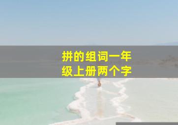 拼的组词一年级上册两个字