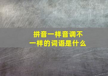 拼音一样音调不一样的词语是什么