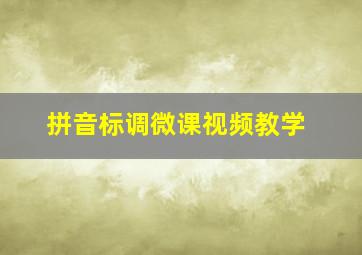 拼音标调微课视频教学