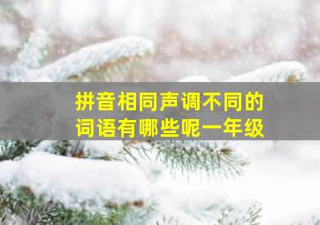 拼音相同声调不同的词语有哪些呢一年级