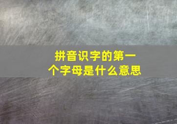 拼音识字的第一个字母是什么意思