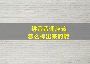 拼音音调应该怎么标出来的呢