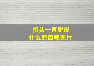 指头一直脱皮什么原因呢图片