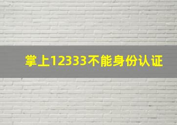 掌上12333不能身份认证