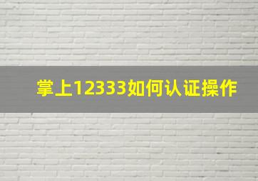 掌上12333如何认证操作