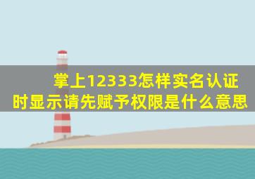 掌上12333怎样实名认证时显示请先赋予权限是什么意思