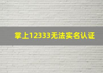 掌上12333无法实名认证