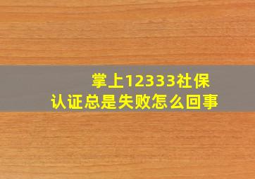 掌上12333社保认证总是失败怎么回事