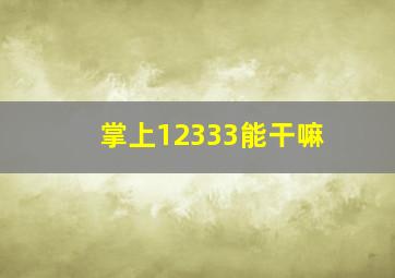 掌上12333能干嘛