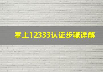 掌上12333认证步骤详解